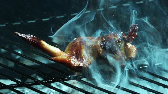 Grilling BBQ Chicken Wings in ultra slow motion 1500fps on a Wood Smoked Grill - BBQ PHANTOM 