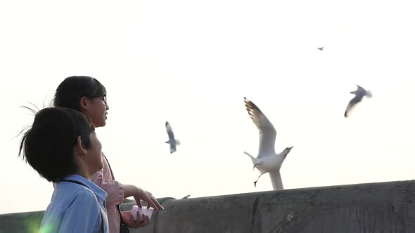 Asian Children Feeding The Seagulls On The Bridge