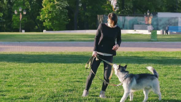 Beautiful Young Woman Playing with Funny Husky Dog Outdoors in Park