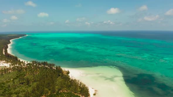 Tropical Island with Sandy Beach