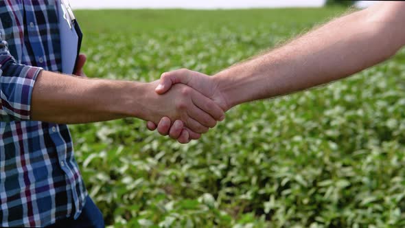 Handshake on Soybean Field