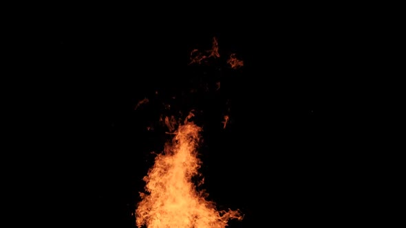 Fire Flames on a Black Background Bonfire Burning at Night