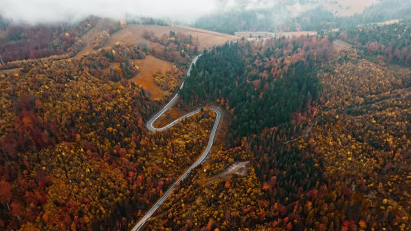 Aerial Top Down View of Road in Forest in Autumn Misty Morning