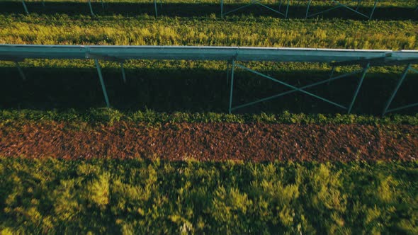 Aerial View Solar Power Station on Green Field at Sunset Solar Panels in Row