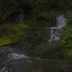 Water Flowing on Moss Covered Rocks - VideoHive Item for Sale