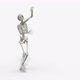 Skeleton Goes Forward - VideoHive Item for Sale