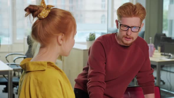 Two Red-Haired Colleagues Discussing Project