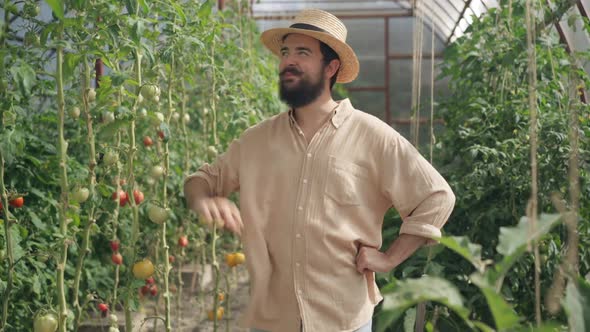 Positive Confident Male Gardener Talking Looking at Camera Standing in Sunny Greenhouse