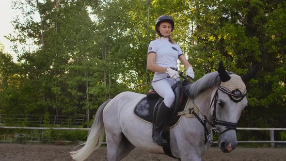 Perfect Horseback Riding. Slow Motion