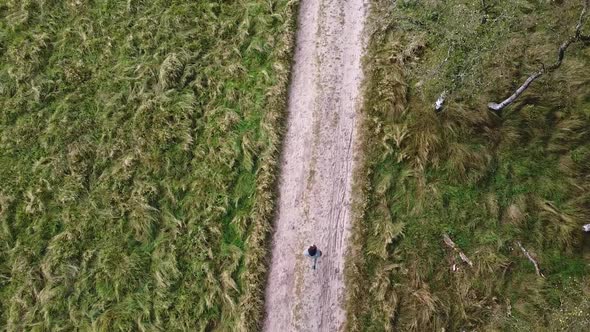 Drone shot from above of a guy running through nature.