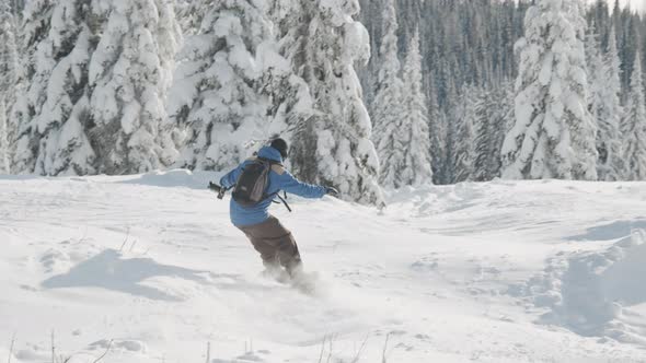 Snow Boarder Moving Down Terrain By Trees