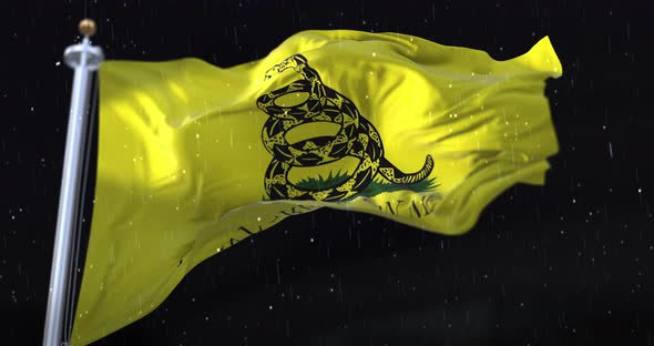 Don't Tread On Me Gadsden Flag