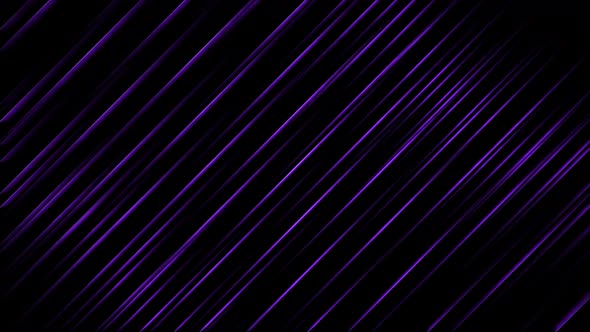 Purple Lines Movement