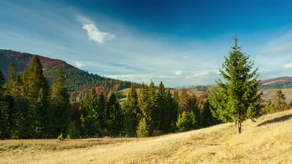 Carpathians Ukraine