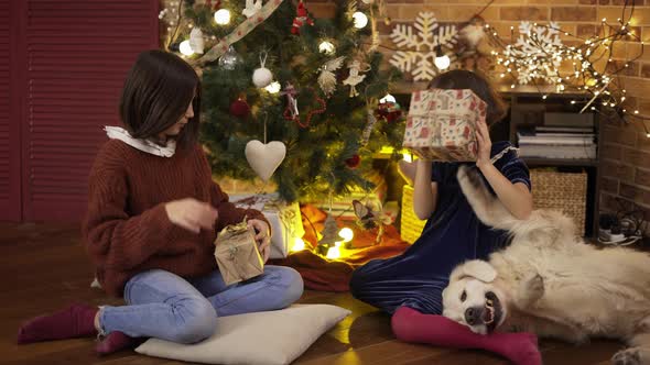 Two Excited Children Shaking Gift Box Under Christmas Tree with Their Golden Retriever Dog