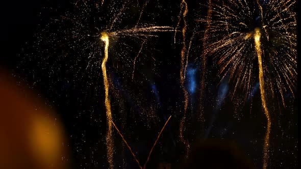 Fireworks People Crowd