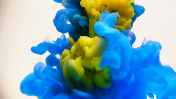 Blue Ink in water.Creative Slow Motion. On a White Background.