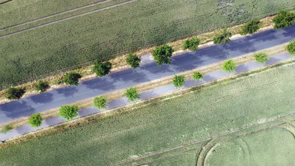 empty country road with trees at roadsideDaring aerial view flight 360 bird's eye view drone footag