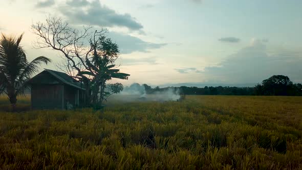 Low flying drone next to a small farmhouse in a rice crop field with a pile of burning straw