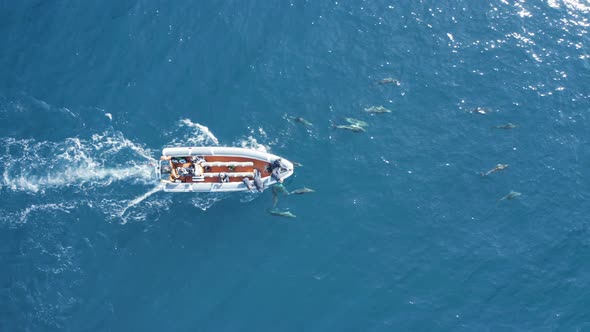 Aerial view of a motorboat in the ocean, Azores, Portugal.