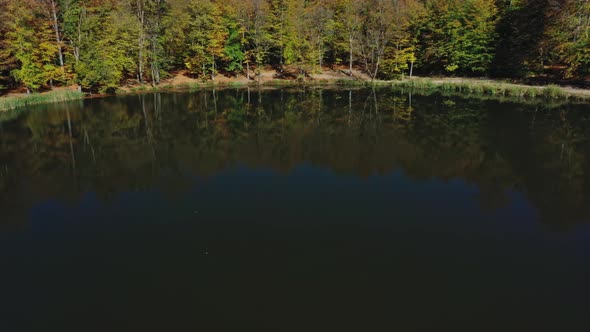 Aerial Drone Tilt Up of Autumn Forest Trees Near Gosh Lake in Armenia