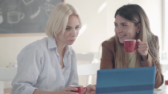 Beautiful Smiling Caucasian Women Drinking Tea or Coffee in Cafeteria and Talking