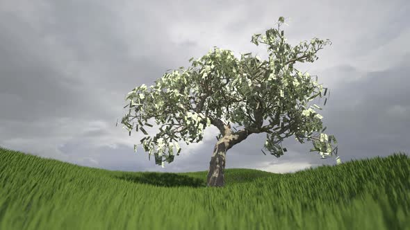 Money Tree Landscape