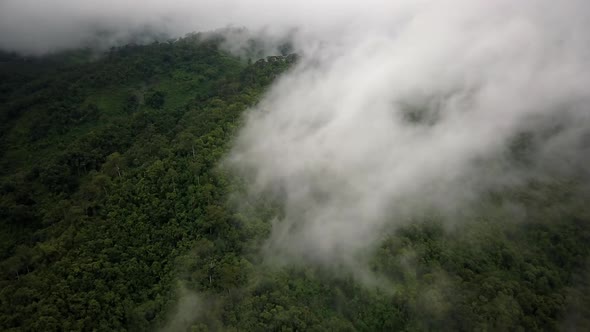 Logistic concept aerial view of countryside road passing through the serene lush greenery and foliag