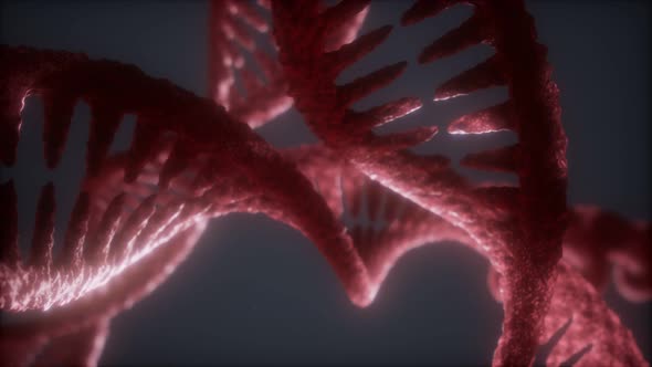 Loop Double Helical Structure of Dna Strand Close-up Animation alt