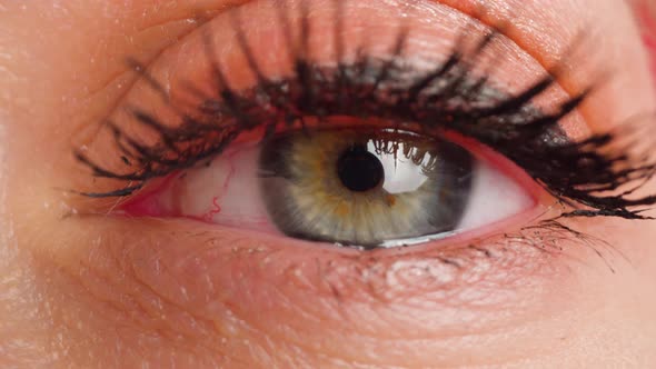 Hazeleyed Woman with Eye Makeup Looks Into Camera Macro