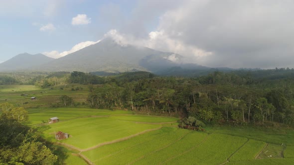 Rice Terraces and Agricultural Land in Indonesia