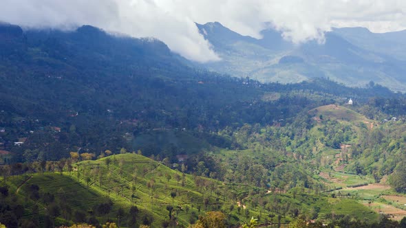 Mountain Tea Plantations Timelapse