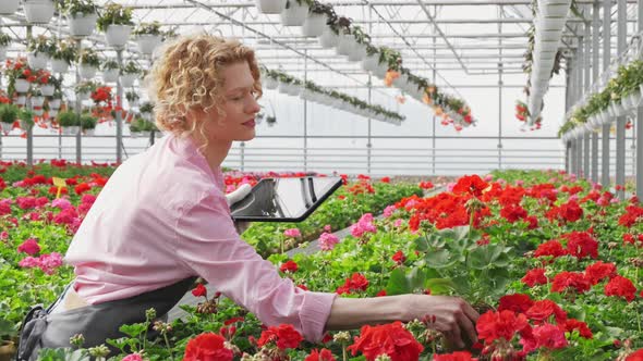 Blond Woman Taking Notes While Working in Greenhouse Center