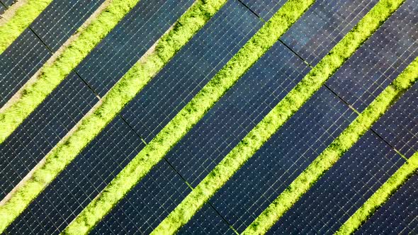 Drone ascends straight up while looking down revealing rows and rows of solar panels.