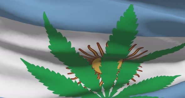 Argentina flag with cannabis leaf