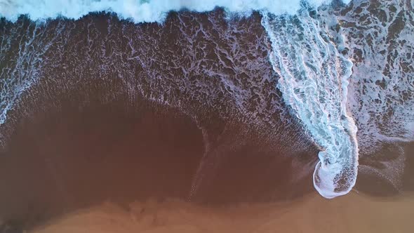 Tropical Beach Waves