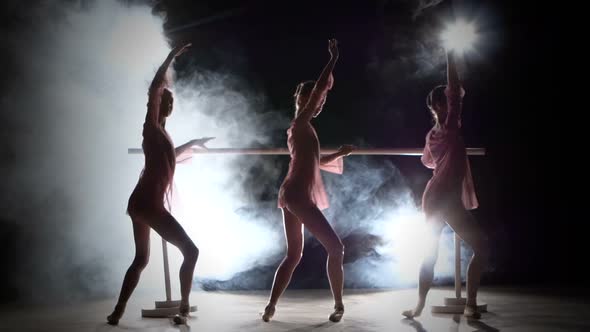 Little Ballet Girls in Dress Posing at Ballet Barre, Smoke