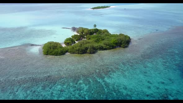Aerial drone shot landscape of paradise tourist beach wildlife by blue sea with white sand backgroun