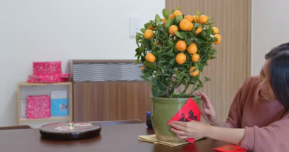 Woman stick the chinese calligraphy on pot of Mandarin orange, word mean luck