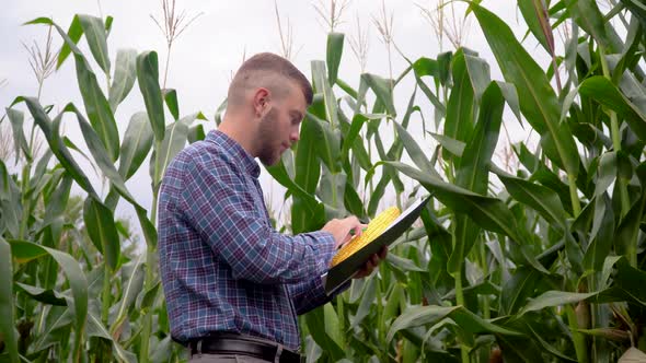 Agronomist with Notebook, Checking the Field Corn a Background of Greenery. Concept Ecology, Bio