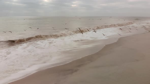 Flying with seagulls along the coastline just above crashing waves.