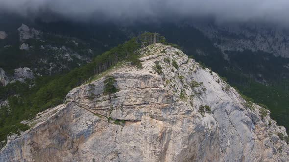 Rock ShaanKaya with Sheer Walls and Overgrown with Coniferous Forest Crimea