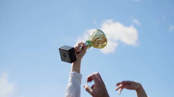 Single hand with a white sleeve holds golden cup trophy high in the air, other hands try and fail