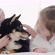Mother and daughter playing with black dog on bed (8) - VideoHive Item for Sale