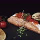 Salmon Fillet in Sauce Garnished with Herbs - VideoHive Item for Sale