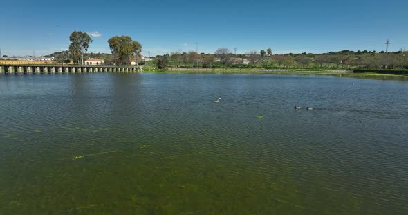 PARK OF THE DUCKS IN TRUJILLO CACERES