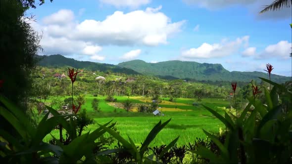 view of rice fields and hills timelapse video.natural beauty in remote Sidemen, Karangasem, Bali. L