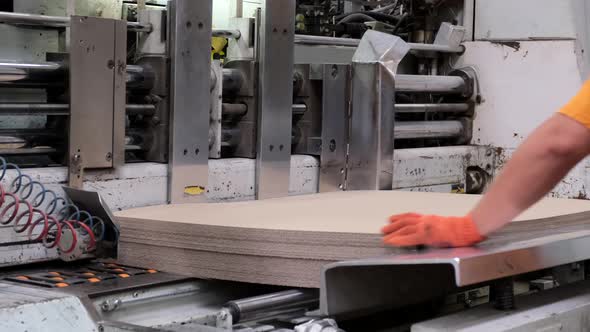 Enterprise for the production of cardboard containers . Worker put sheets of cardboard in a machine