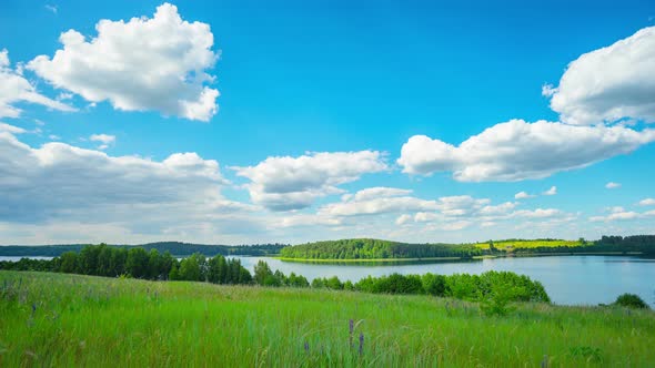 Summer Landscape with a Lake