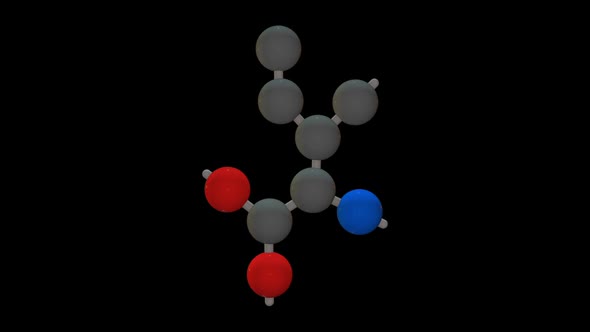 L-isoleucine - Amino acid model